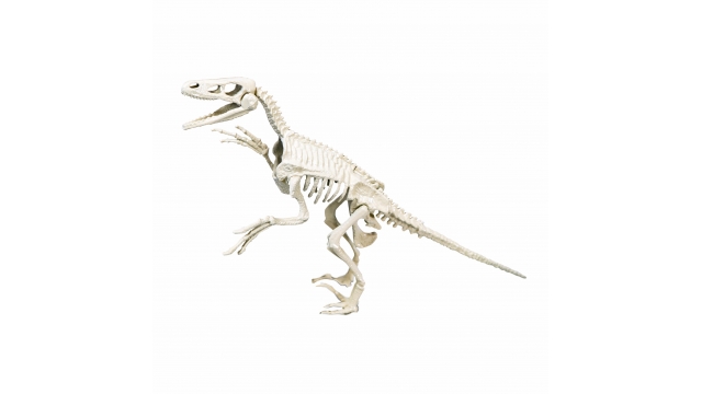 Clementoni Archeospel Velociraptor