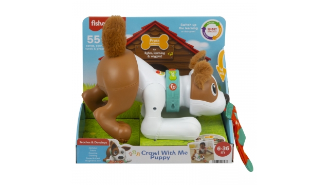 Fisher Price Crawl With Me Puppy + Licht en Geluid