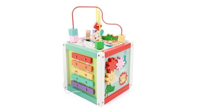 Fisher Price 5in1 Houten Activiteitenkubus