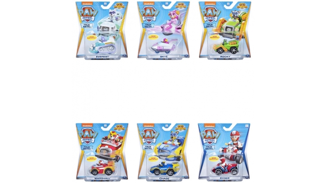 Paw Patrol Die-Cast Voertuig met Pup