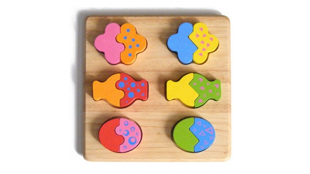 Pintoy Mix en Match Vorm Puzzel