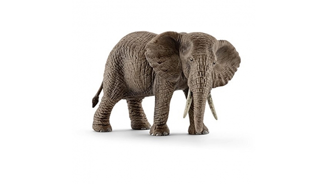 Schleich Afrikaans Olifant Vrouwtje