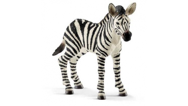 Schleich Zebra Jong