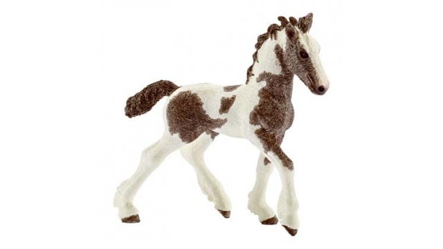 Schleich Tinker Veulen