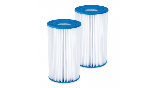 Summer Waves Filter Cartridge Type A/C 2 Stuks